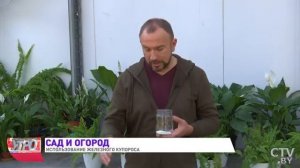Железный купорос. Безопасное применение в саду   Иван ?