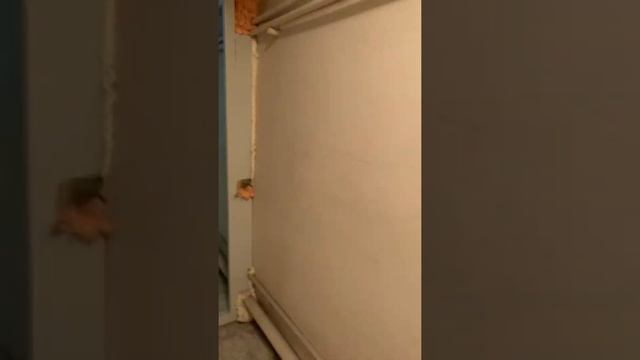 Подвал особняка на Спартаковской улице, 10/2 смотреть онлайн