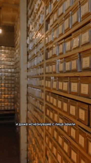 Коллекция всех семян мира #документальныйфильм #хлеб смотреть онлайн