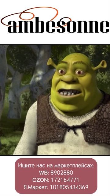 Найдите и вы свою принцессу с брендом Ambesonne! #ортопедия смотреть онлайн