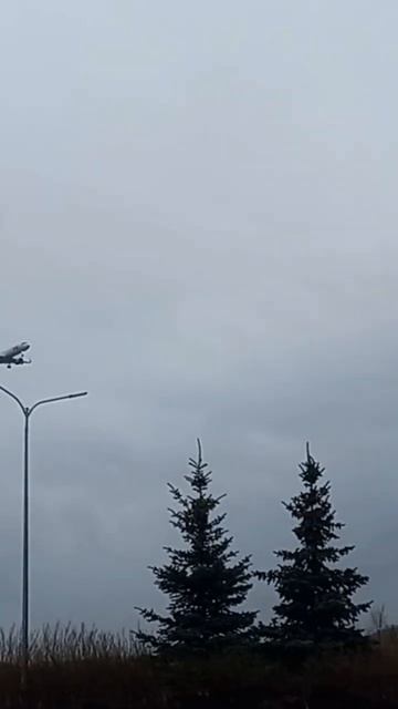 A-321 Сочи-СПб заходит на посадку в Пулково смотреть онлайн