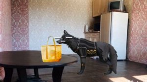 WildCraft:Короче говоря женская сумочка(породия)