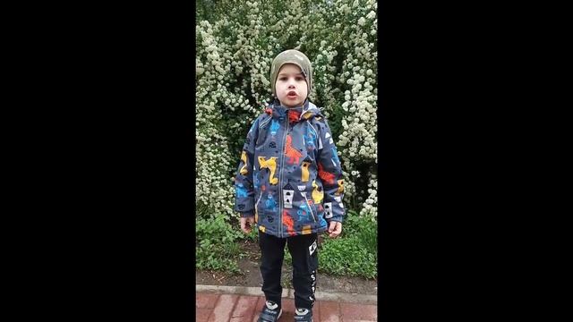 Стихотворный флешмоб «Мы о войне стихами говорим» смотреть онлайн