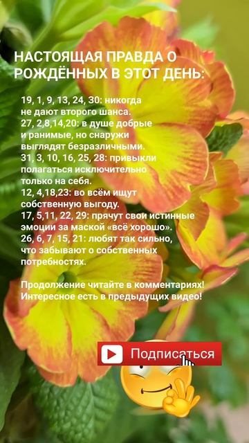 Настоящая правда о рождённые в этот день / Эзотерика Г? смотреть онлайн