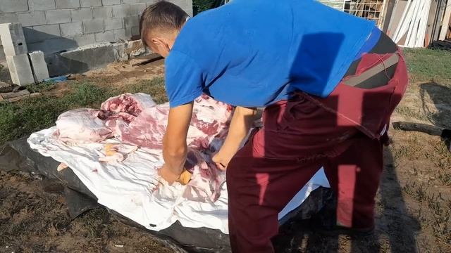 РОЗБИРАЄМО ДЮРКА СЕЛО БОЛОТНЯ