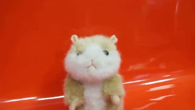 Смешной хомяк смотреть онлайн