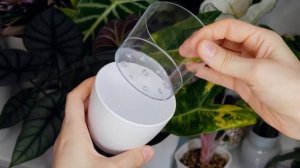 Улучшаем обычный горшок. Делаем автополив!