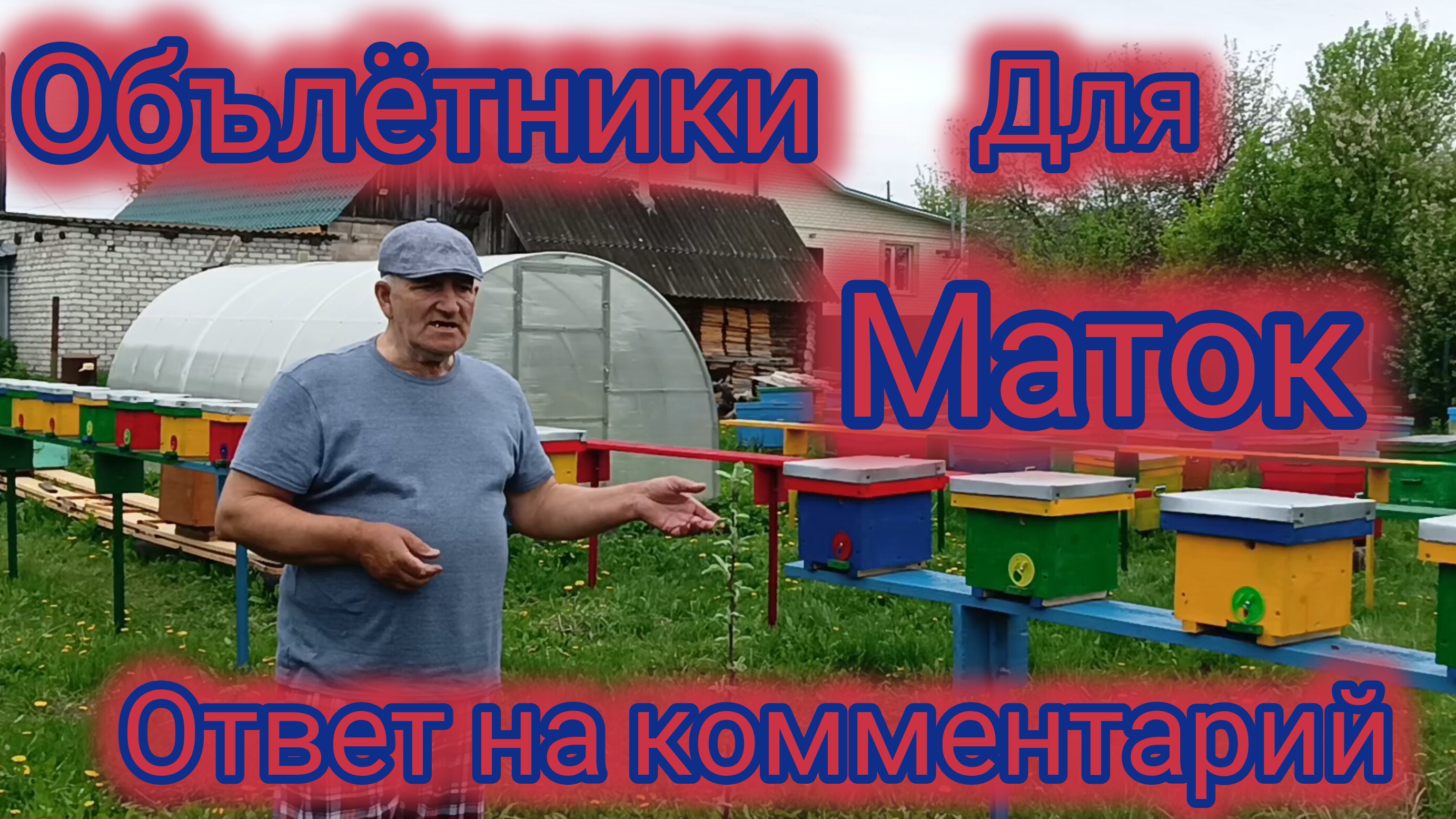 Обълётники для маток.Ответ на комментарий смотреть онлайн