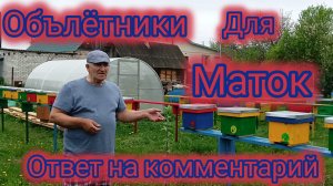 Обълётники для маток.Ответ на комментарий