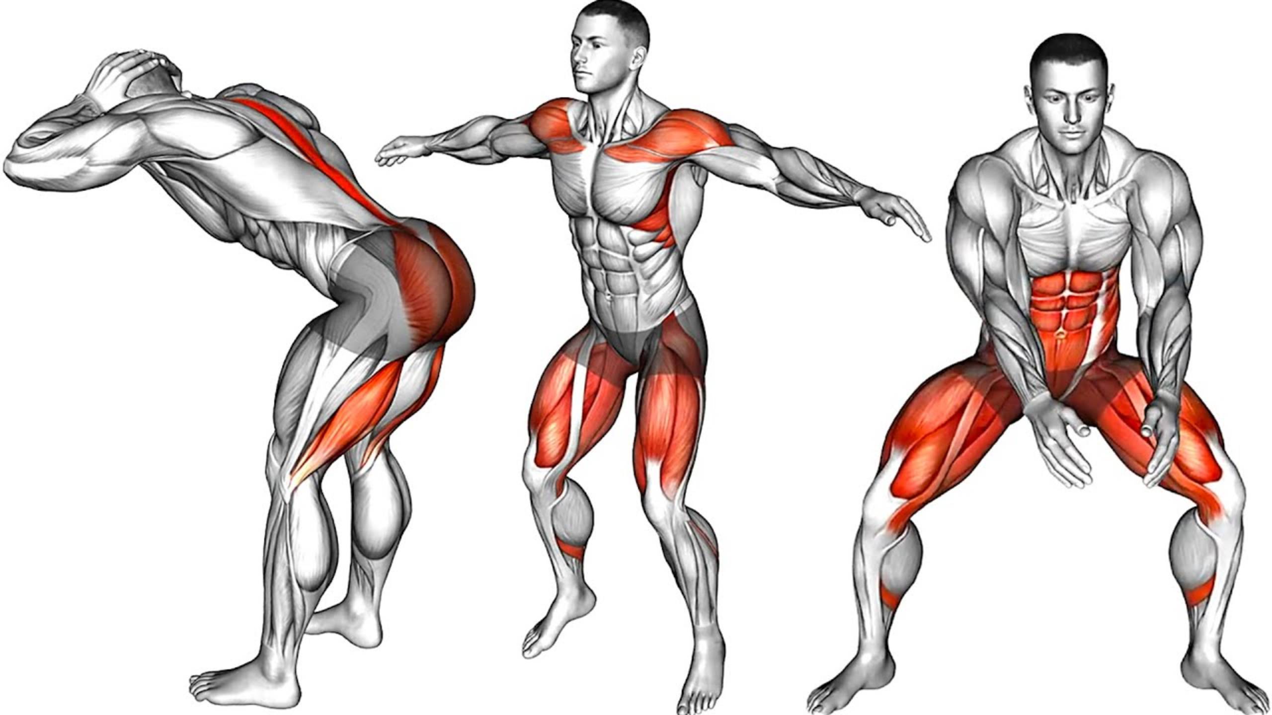 Полная тренировка для сжигания жира стоя смотреть онлайн