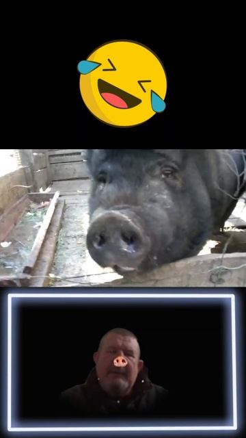 Украинизировался так, что аж уши завернулись как у пор смотреть онлайн