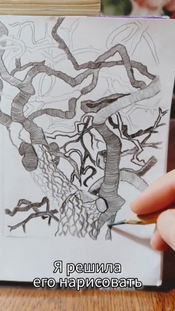 КАРТИНЫ маслом на заказ. Oil PAINTINGS on canvas to order. #картинаназаказ#картинамасломнахолсте смотреть онлайн