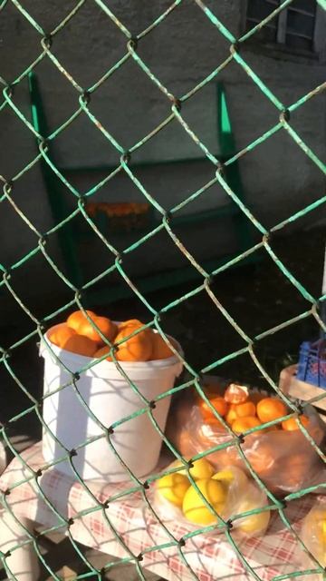 Мандариновый рай. #абхазия #душа смотреть онлайн