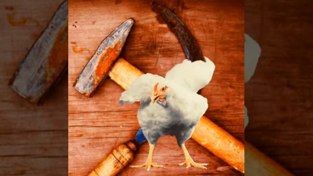 Курятник смотреть онлайн