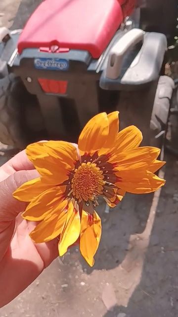 так выглядит 🤡🤡🤡Гацания🤯🤯🤯 смотреть онлайн