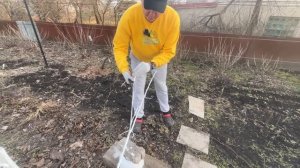 Обрезка черешни весной : виды и правила.