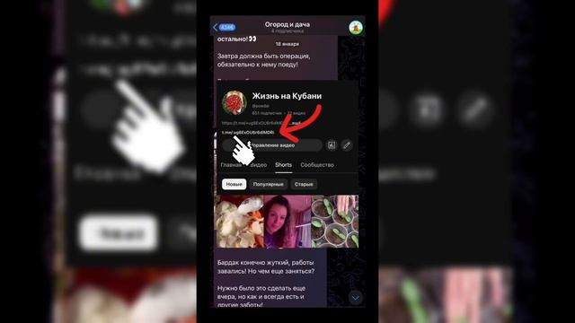 Доброе утро 29 марта на Кубани влог vlog #garden #gardenlife #огоро смотреть онлайн