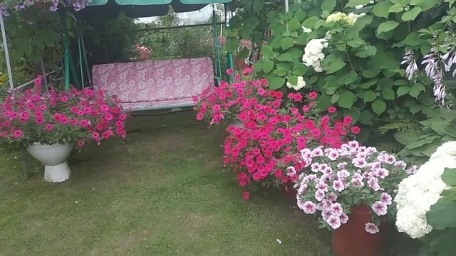 Один момент моего дачного участка смотреть онлайн