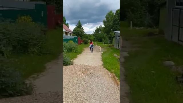 Калужская область. Прогулка с Шерманом в деревню. Холо смотреть онлайн