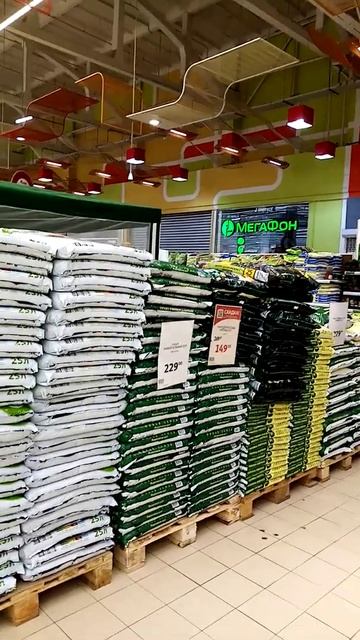 #Рассада,грунт-все_есть,лето_продолжается#live#art#motivation#na смотреть онлайн