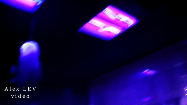 Helloween в Хаббл Баббл (кальяный клуб)