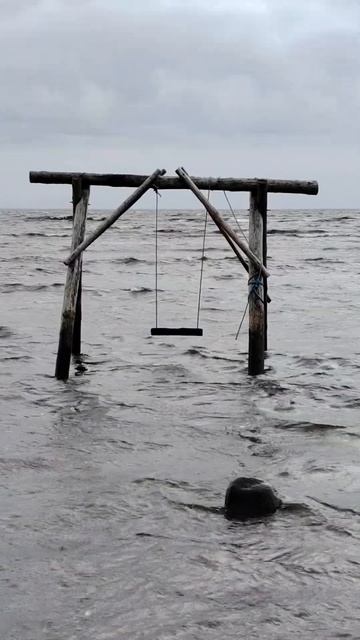 Одинокие качели #питер #финскийзалив #море #балтика смотреть онлайн