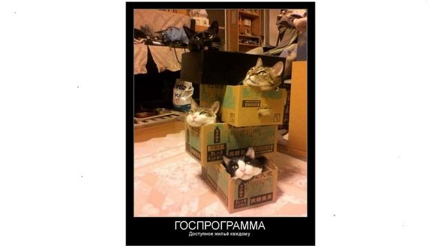 пріколи про фотографів та котів смотреть онлайн