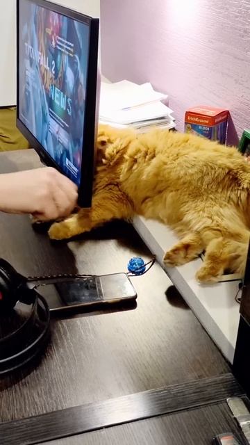 Не откладывай на завтра то,что можно сделать сегодня #? смотреть онлайн