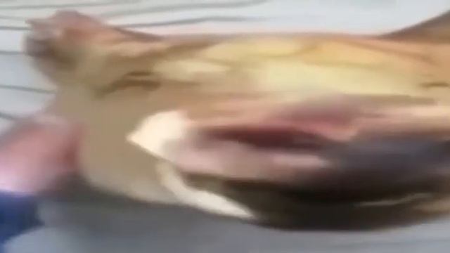 не расстраивайся смотреть онлайн