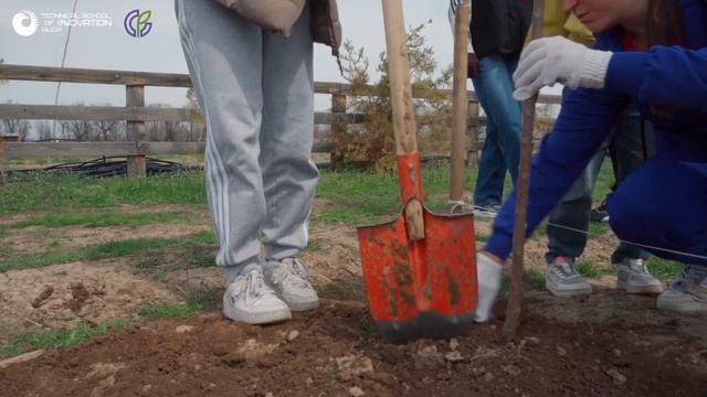 Студенты TSI высадили более 70 саженцев на экофереме. смотреть онлайн
