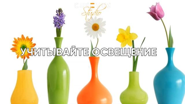 Как выбрать ЛУЧШИЕ СОРТА ЦВЕТОВ для вашего сада? #цвет? смотреть онлайн