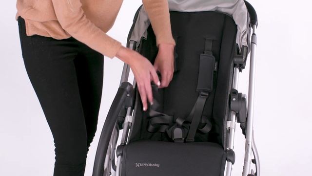 Коляска UPPAbaby Cruz V2 / Vista v2 регулировка ремней безопасности смотреть онлайн