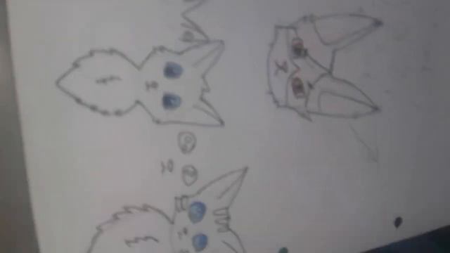 Я нарисовала Львиносвета,Голубку,Воробья и Сола из котов воителей.#коты воители смотреть онлайн