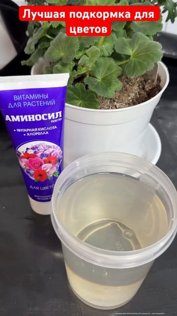 Лучшая подкормка для цветов после зимы и даже чахлые к смотреть онлайн