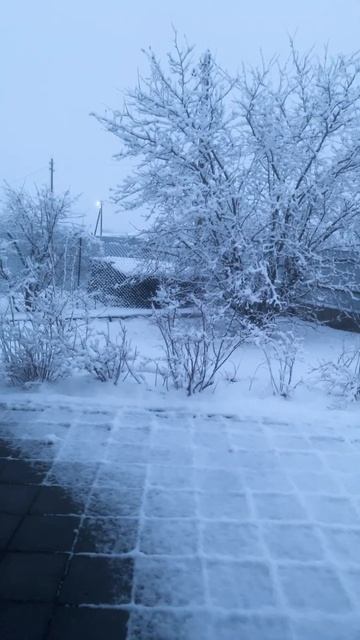 5.04.2025 Беларусь смотреть онлайн