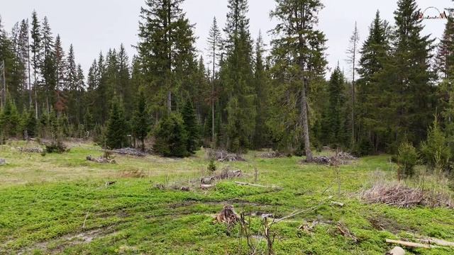 Продаётся живописный участок в городе Нязепетровск Челябинская область смотреть онлайн