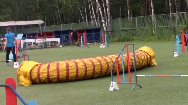 Ершов Иван и Тата Первенство Северо-Западного ФО по аджилити — 25/06/2016