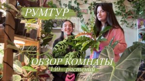 Обзор комнаты с сотней растений || лианы, крупномеры, Антуриумы и Алоказии | в гости к Раилю