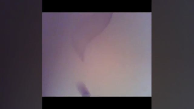 Заказ канала Росинка из Клана Летней Грозы смотреть онлайн