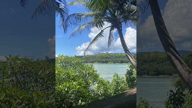 Сейшелы смотреть онлайн