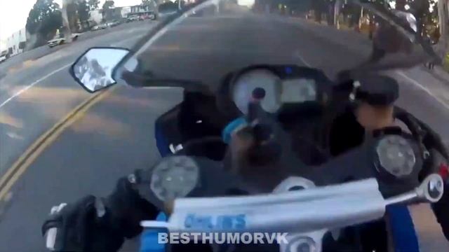 ЛУЧШИЕ ПРИКОЛЫ НЕДЕЛИ [best humor vk] Выпуск #36 смотреть онлайн