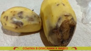 ⛔ ПОДКОРМКА ПОМИДОР БАНАНОВОЙ КОЖУРОЙ ⚡ ВЕЩЕСТВО ОТ ?