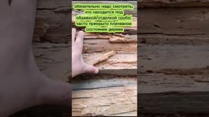 Ремонт старого деревянного дома: восстановление сруб?