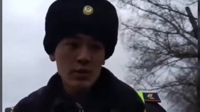 Приколы с видеорегистратора смотреть онлайн
