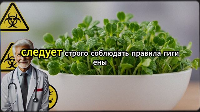 Никогда Не Ешьте Эти 8 Овощей, Если Вам Больше 60 Лет! смотреть онлайн