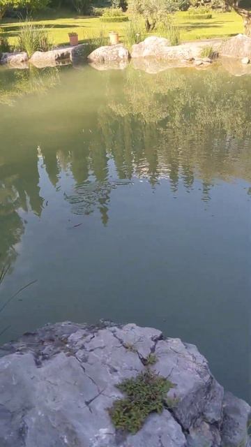 Беседка смотреть онлайн