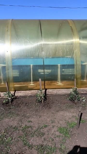 Теплица готова , бассейн установлен ждем погоды ☀️ смотреть онлайн
