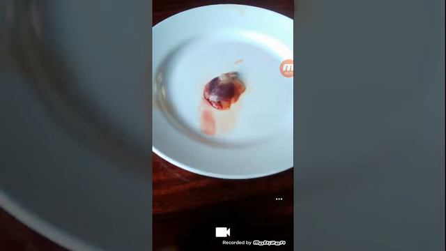 Сердце зомби смотреть онлайн