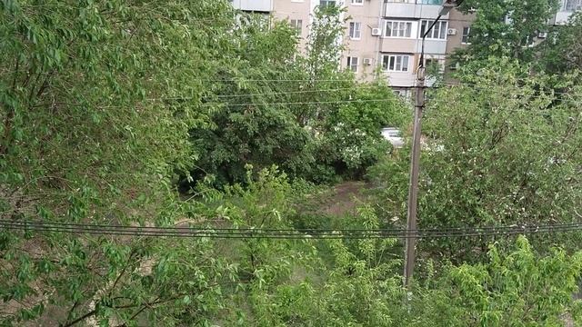 Майский дождь/ Погода/ Шум дождя смотреть онлайн