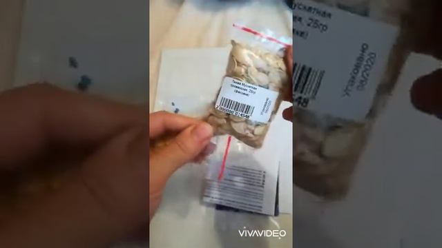 семян много не бывает)) смотреть онлайн